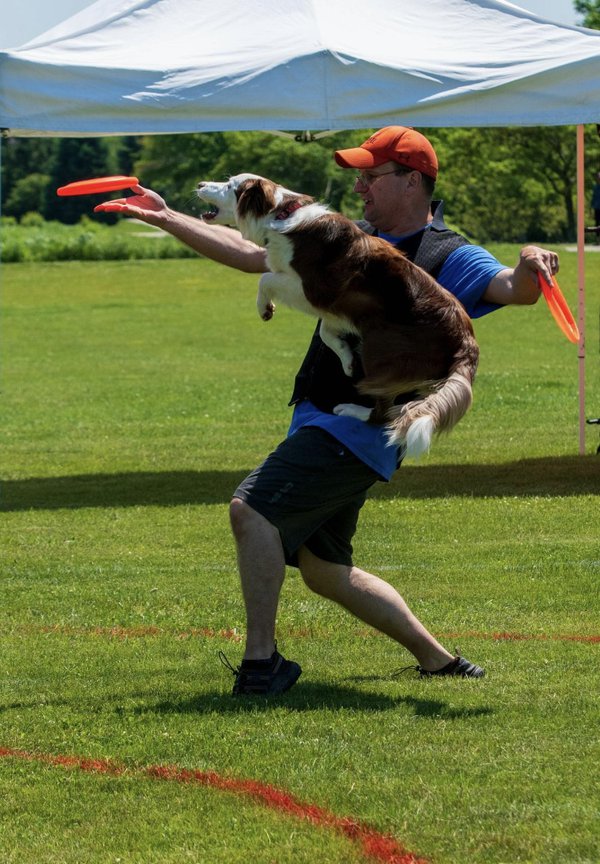 Playing frisbee with outlet dog